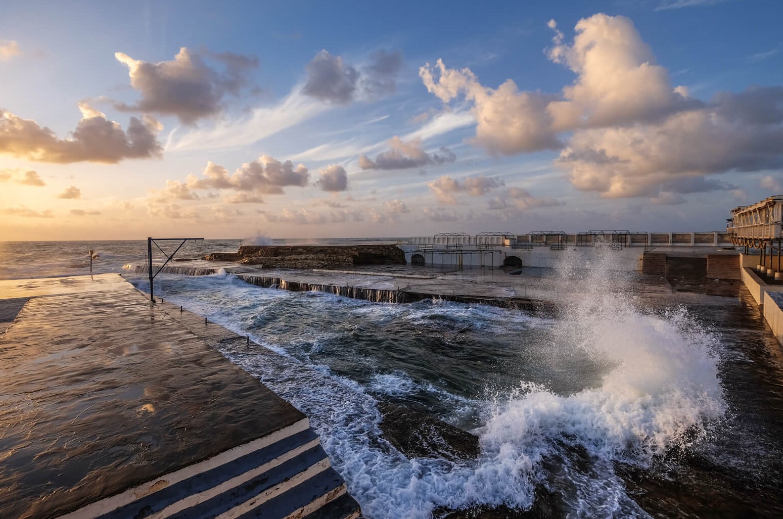 Exhibition with World Art Collector at The Sporting Club