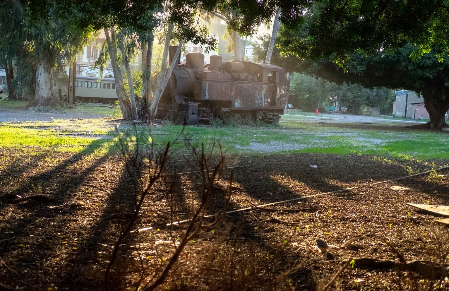 Exhibition with World Art Collector at Badaro